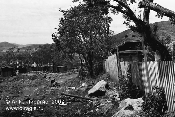 Фруктовый сад в городе Петропавловске-Камчатском. 1971 год Фруктовый сад в Петропавловске-Камчатском