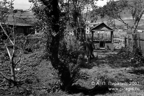 Фруктовый сад в городе Петропавловске-Камчатском. 1971 год Фруктовый сад в Петропавловске-Камчатском
