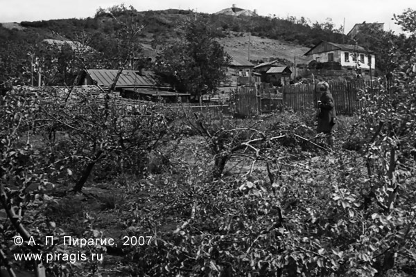 Фруктовый сад в городе Петропавловске-Камчатском. 1971 год Фруктовый сад в Петропавловске-Камчатском